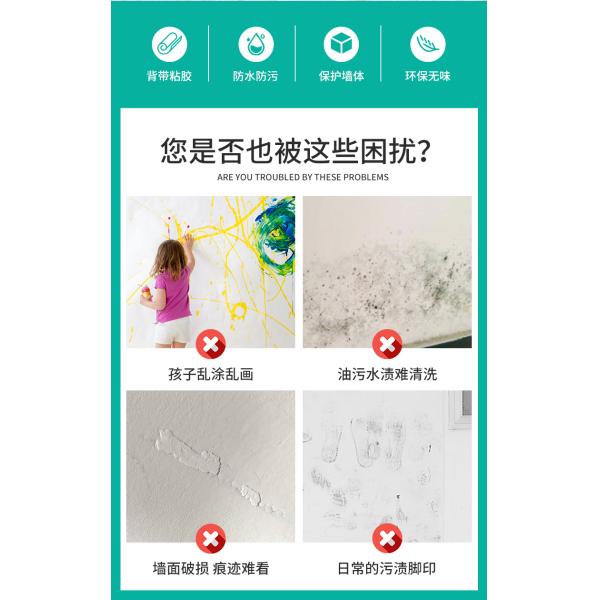 Modern Design Style Transparent Protective Film for Interior House Decor and Wall Decoration