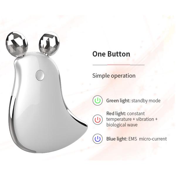 Personal Care Facial Roller Facial Massager Skin Lifting Roller Vibrating Massager