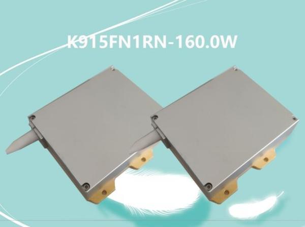 a fibra do poder superior de 915nm 160W acoplou o laser do diodo