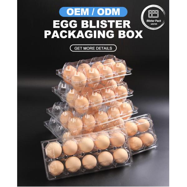 Vacuum Formed 12-Slot Durable PET  Egg Blister Tray Disposable Plastic Grid Tray With Cover