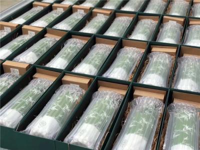 Air Cushion Packaging Bags Shock Proof , Inflatable Packing Air Bags Different Size