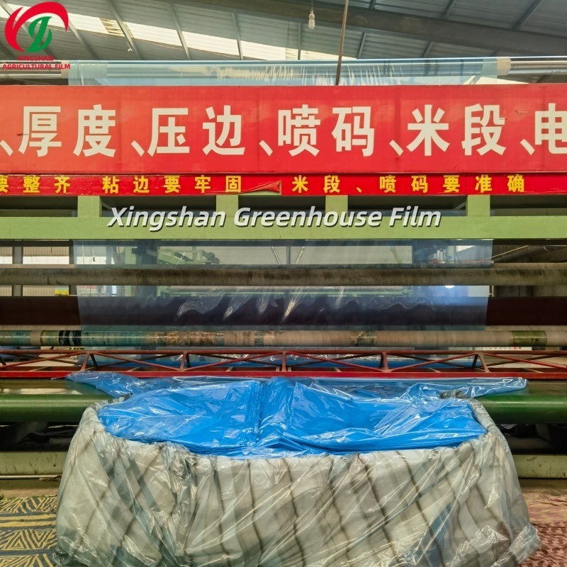 EVA Greenhouse Film Long Lasting Anti Fog Plastic Cover For Farming