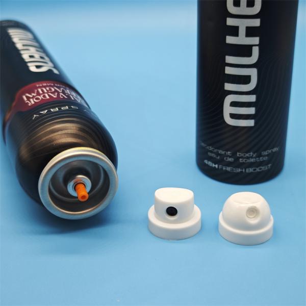 High-Performance Aerosol Deodorant Body Spray Valve for Personal Care Brands with Precision Metered Dose and 360-Degree Spray Actuator