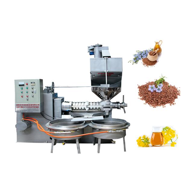 High Oil Rate Screw Moringa Seed Oil Extraction Machine With Oil Cake Feeder