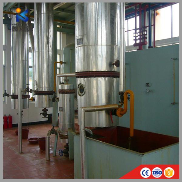 30t/d Peanut Soya Rice Bran Plant Oil Solvent Extraction Machine Production Line Clean and Processing for Restaurants