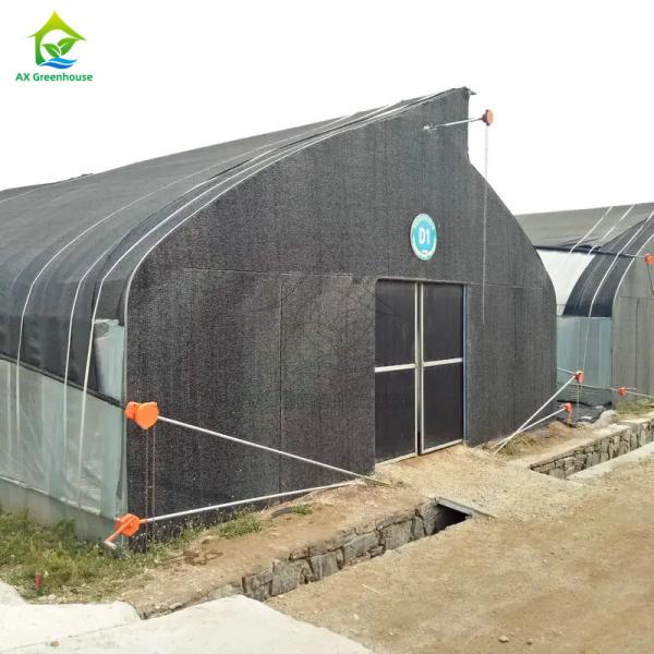 ノコギリ歯型単スパンフィルム遮光ネット遮光温室（キノコ栽培用）