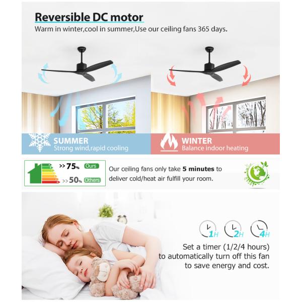 Vento padrão 52 polegadas ventilador de teto com controle remoto e 6 velocidades Mofo privado NO