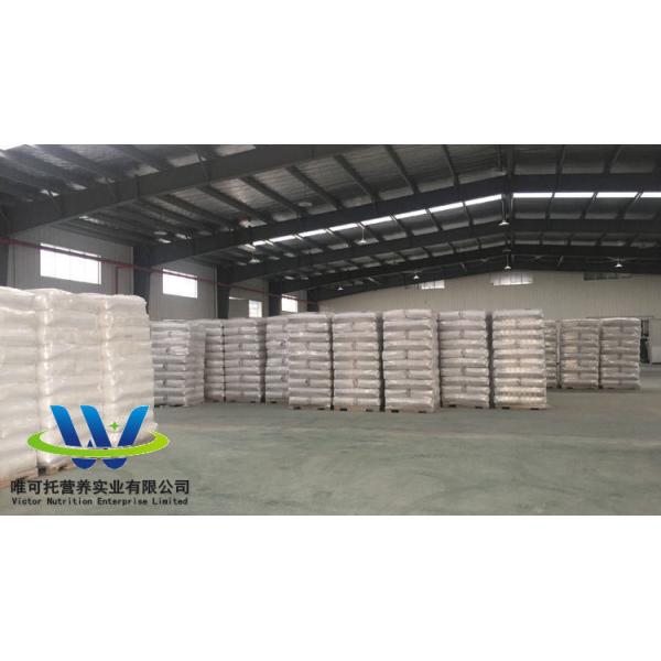BV Certification GMP Vital Wheat Gluten Food Grade for Bread Improve Your Bread Sales