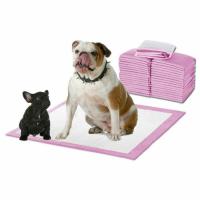 Personalize as almofadas pequeninas pequeninas S 33x45cm do rosa de bambu descartável do carvão vegetal das almofadas do cachorrinho