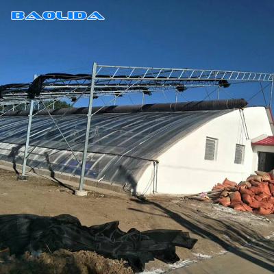 Estufa fotovoltaico do período de Venlo do vale da colheita economia de energia solar da multi