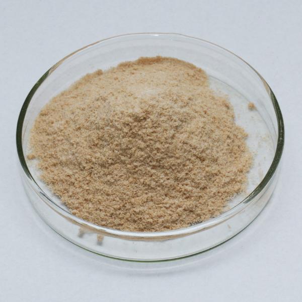 Food Grade Industrial Grade Alkaline Protease Enzyme Customizable