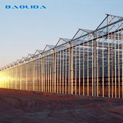 Large Size Generator Plastic Sheet Greenhouse With Project Commercial Hydroponic Systems