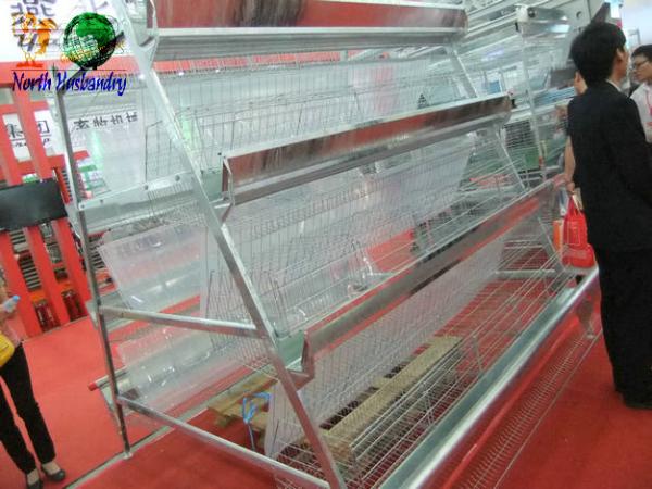 poultry farm layer cage