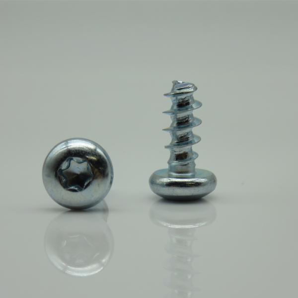M5*12 Metric Pan Head Stainless Steel PT Screw Torx Metal Screw Fastener