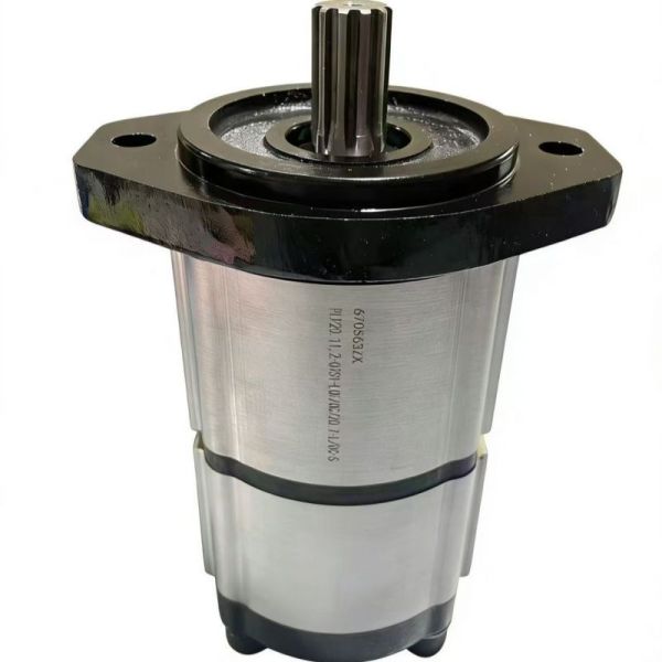 670S63ZX Hydraulic Double Gear Pump PLP20 for CASAPPA