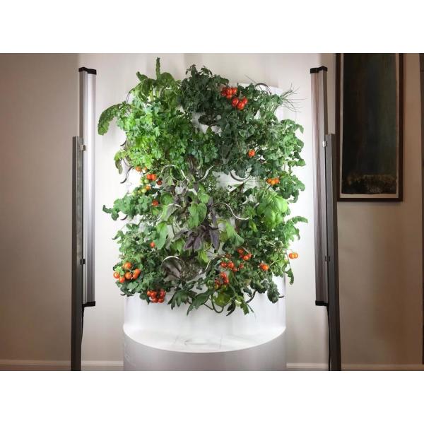 Dual Head AC85-265V 54W Tabletop Grow Lights For Houseplants Indoor Farming