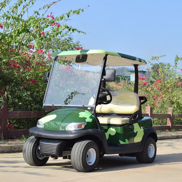 Onward 2 Passenger Electric Golf Cart Trojan Battery CE Approved