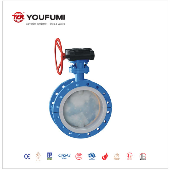 Worn gear powered PTFE Lined Butterfly Valve DN50 Water Media