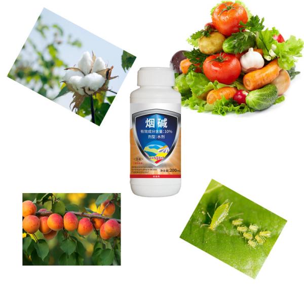 10% Nicotina Marrón Pesticidas para el saltamontes Control de pulgones