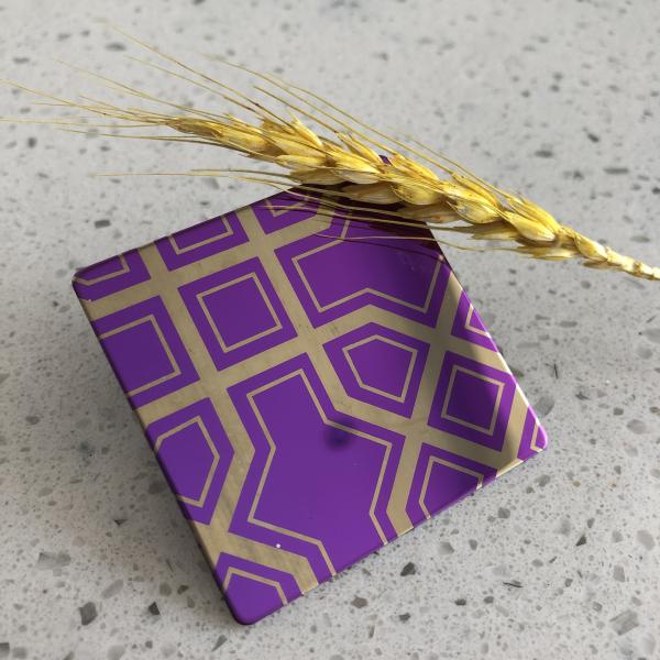 Interior Decorative Elevator Stainless Steel Sheet Etching Ceiling Door 304 201