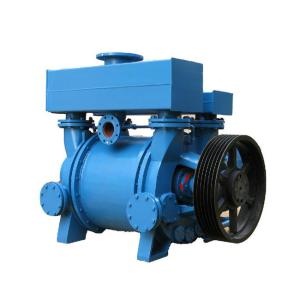 Custom 2SK/2bv Water Circulation Electric Vacuum Pump 1~300HP 220V/380V