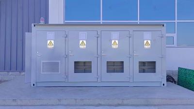 Customized Portable Moving Containers for Flexible Moving Solutions