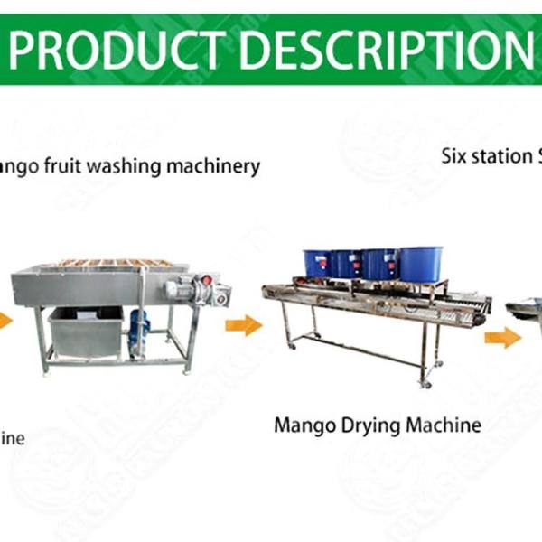 Apple Chips Making Machinery Production Line Automatic Peanuts Processing Line Fruit And Vegetable Dryer
