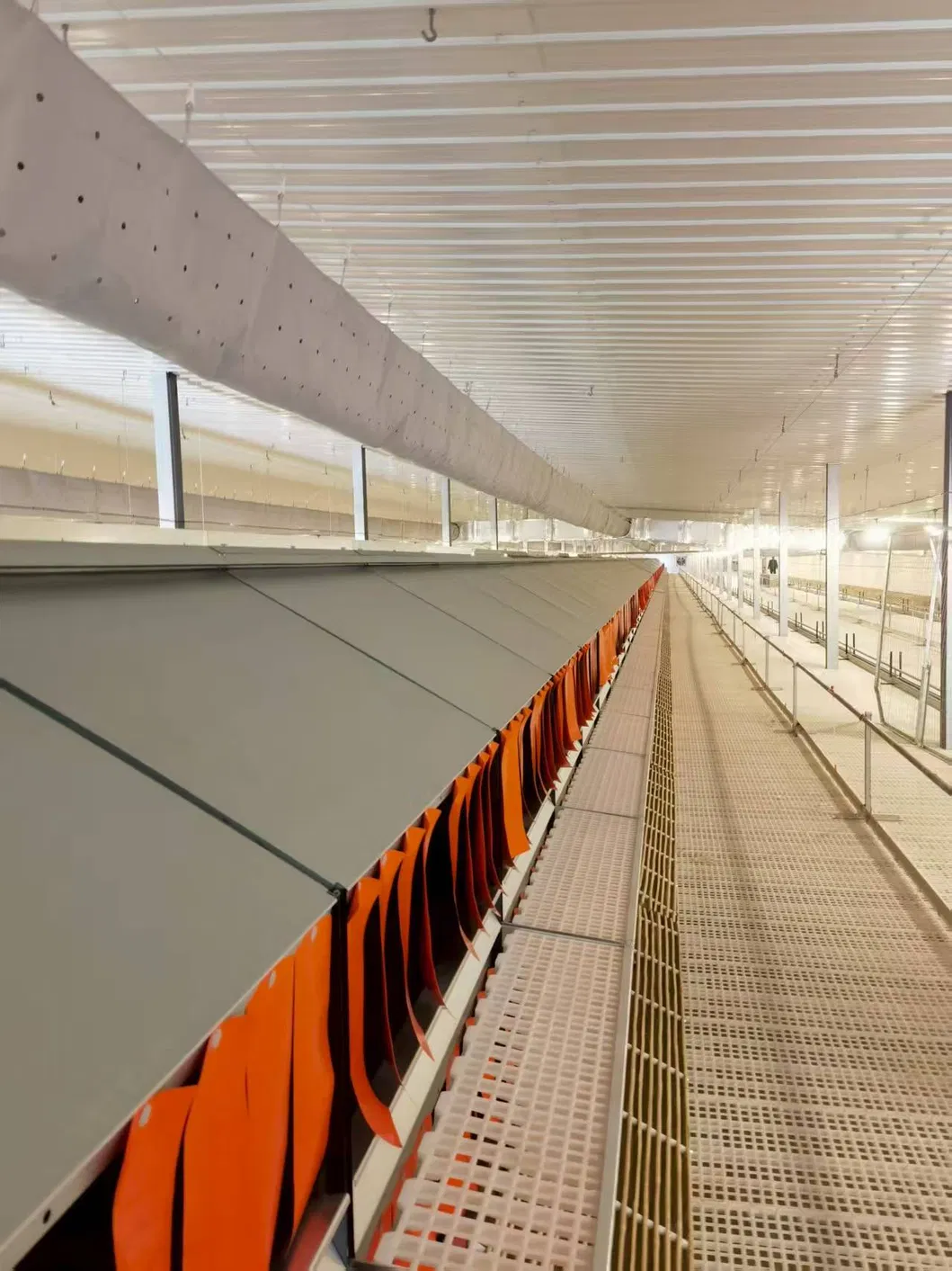 Commercial Fully Automatic Nest Box Poultry Farming Equipment Egg Collection Nest Box