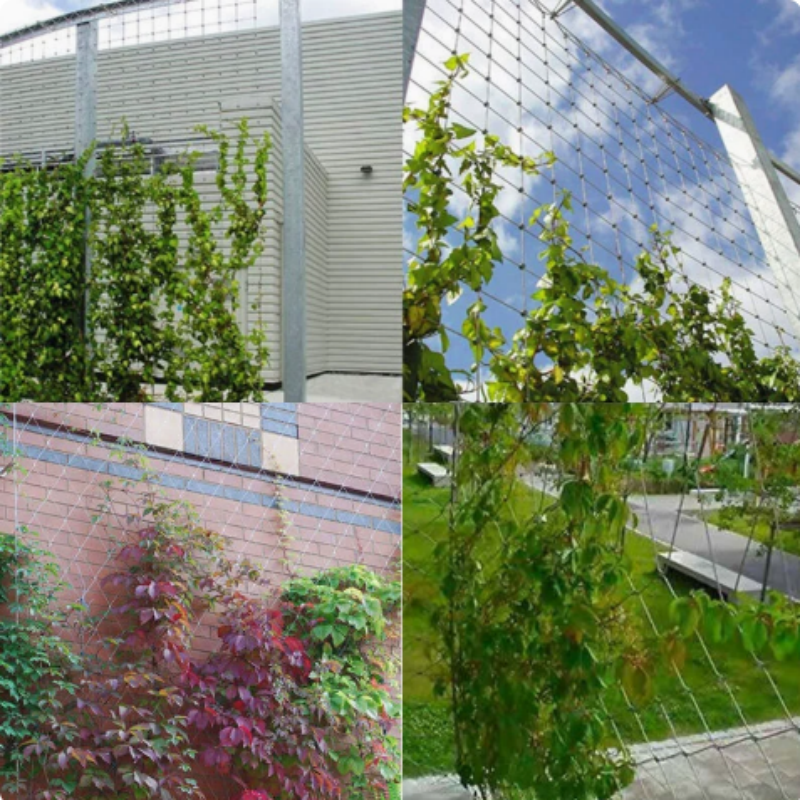 Flexible Stainless Steel Cable Mesh For Garden Vine Climbing