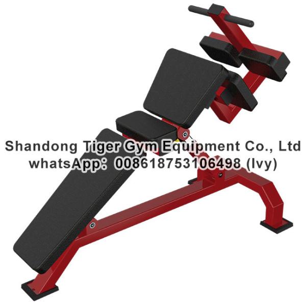 Gym Fitness Equipment Adjustable Abdominal Board / Solid Abdominal bench