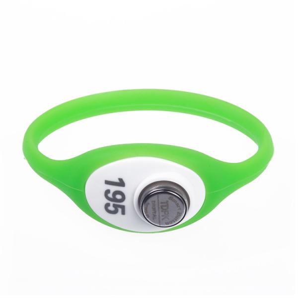 RFID Magnetic Dallas Tracking Wristband Bracelet Ibutton And Smart Cards