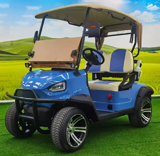 without battery  3.5KW AC motor 4 Wheels Electric Golf Cart  2-seater buggy beach hunting