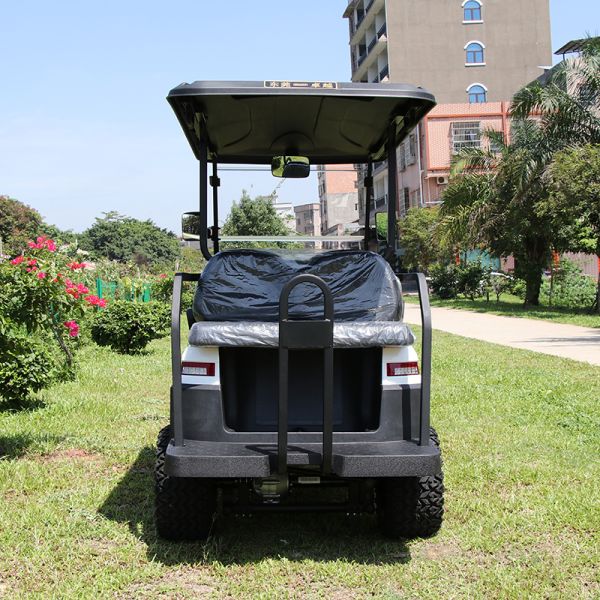 Excar 2 seats Hunting Carts With Trojan Battery/Curtis Controller