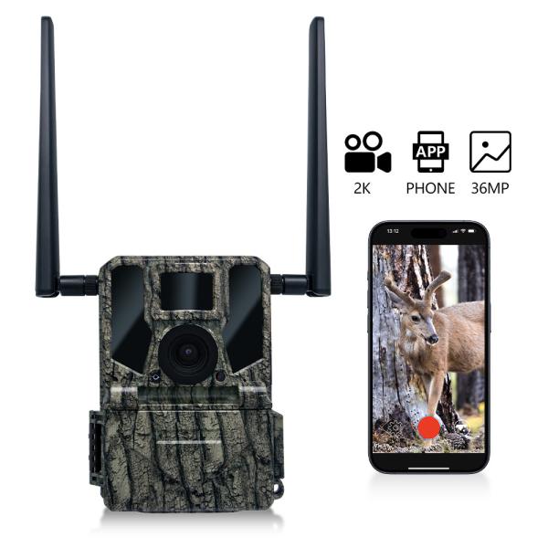 4Gセルラー無線狩猟カメラ KW897 SIMカード内蔵 36MP カプチャ 2Kビデオ 30fps ワイルドライフのためのダブルアンテナ