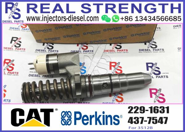 Excavadora Golden Vidar C12/3176B Injetor 153-7923 0R-9595 317-5278 350-7555 10R-1258 212-3468 229-163