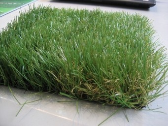 Green , PP + net cloth backing Indoor Synthetic Grass Environmental friendly