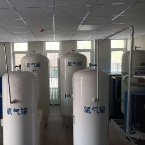95% High Purity Psa Medical Oxygen Plant With Oxygen Monitor System
