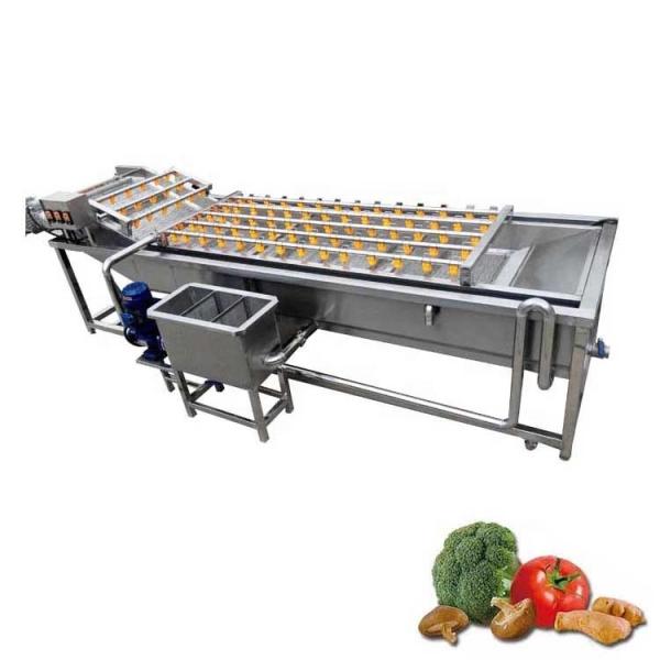 2000kg/H Borracha de bolhas Agrícolas Máquina de lavar frutas e vegetais Hotéis