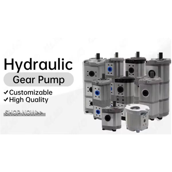 Pompe à engrenages double haute pression pour excavatrice Shimadzu Rexroth Kubota Kobelco