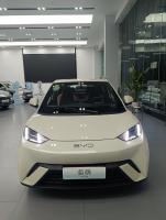 Pequeno Construir seus sonhos BYD Gavião 420KM EV Veículos Elétricos Carro