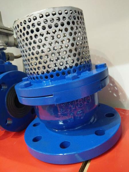 PN16 Cast Iron Flanged Foot Valve With Stainless Steel Screen