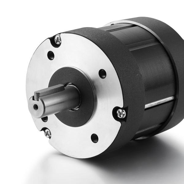 Faradyi Customized High Quality Bldc Motorbldc Motor  For Electric Paramotor Dc Brushless Electr Motor For Generate