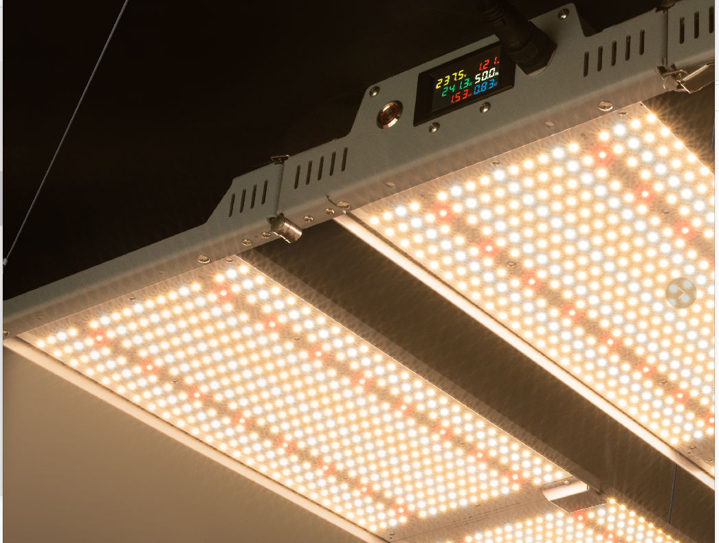 СИД садоводства Rikolite растет доски светов 650w Кванта с функцией дисплея силы