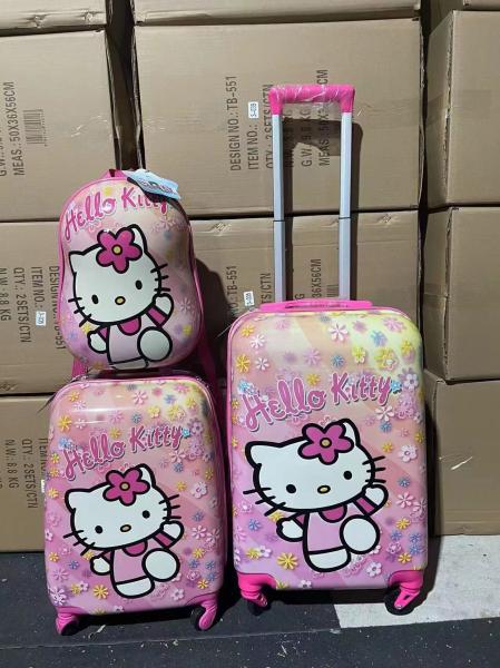 Sturdy Practical Childrens Suit Case , Shockproof Youth Rolling Luggage