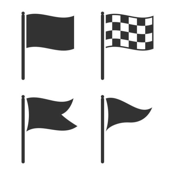 Banderoles de drapeau Expédition rapide Pays d'élection Société de publicité Sports Applaudissements 3x5ft