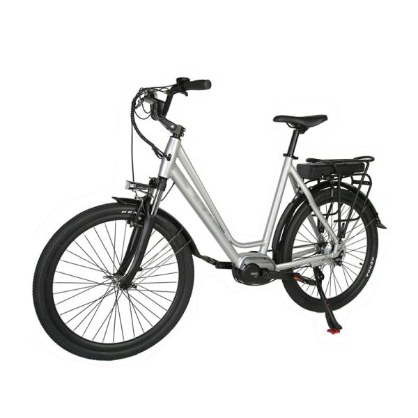 DOMANCA 750w Lady Electric Bike Sensor Smart Type and 18 Speed Gears for City Riding