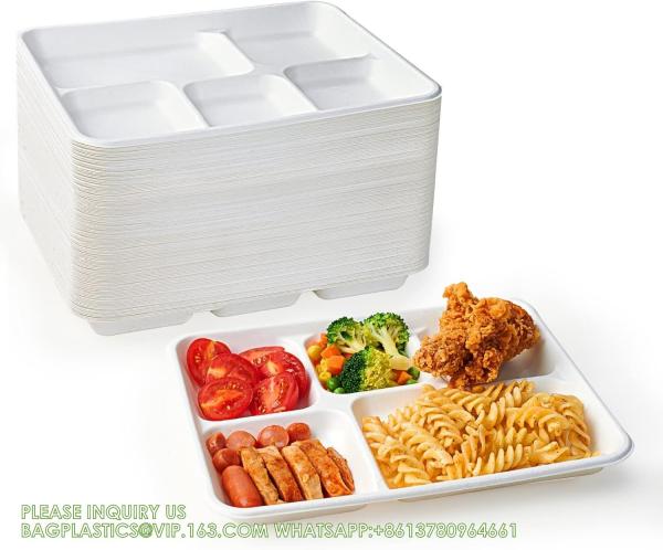 5 Compartment Plates, 125 Pack Disposable Paper Plates, Biodegradable Sugarcane Plates, Eco-Friendly School