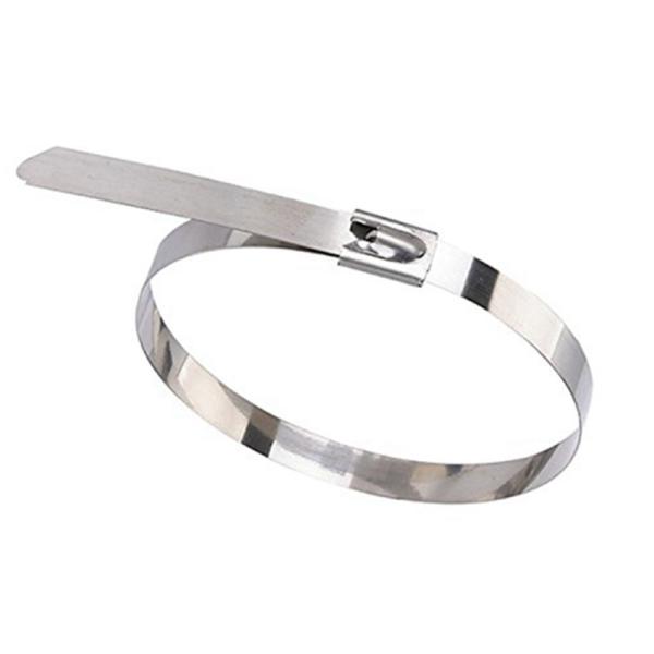 11.8 Inch Nature / Black Stainless Steel Cable Tie 4.6*300mm SS316 Cable Tie