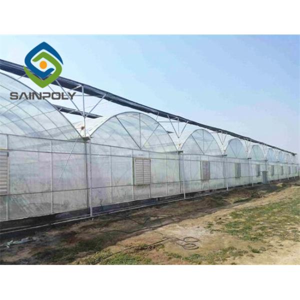 Galvanized Steel 0.15mm Polyethylene Film Greenhouse