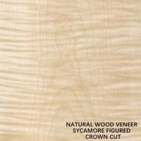 L'Europe le bois figure que naturel de sycomore plaquent la couronne coupée plate a coupé l'épaisseur 0.5mm pour la mort et le Cabinet